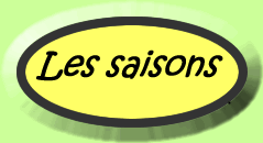 What is your favourite season?