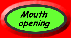 Mouth - opening