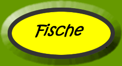 Fische