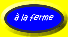 Animals at the farm.