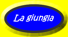 Can you spot the 3 animals hiding in the jungle?