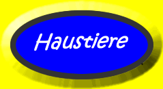 Learn the names of some pets.