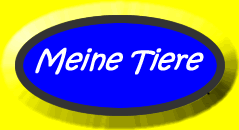 Read the text then work out which animal was described.