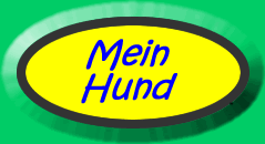 What colour is my dog?