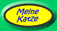 What colour is my cat?