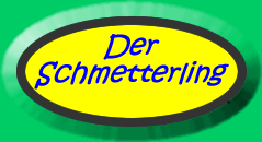 Where will the butterfly land?