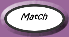 Revise the vocab on sport - match games