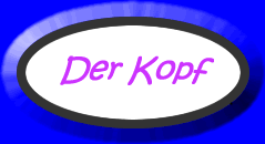 Revise the parts of the head.