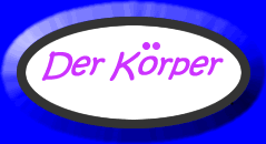 Do you know the parts of the body in German?