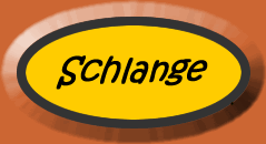 Find the hidden sentences.