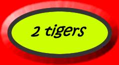 2 tigers