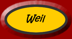 Understnad the use of 'weil'